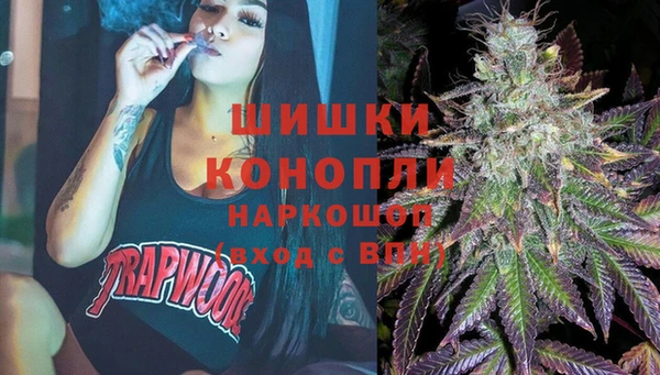 гидра Волоколамск