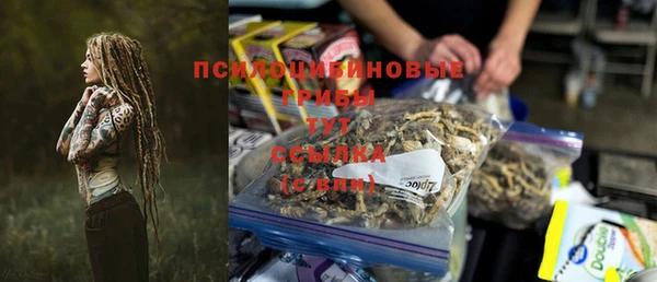PSILOCYBIN Володарск