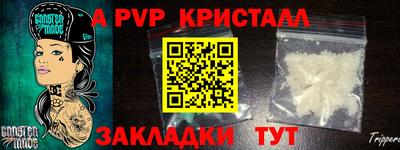 гидра Гусев