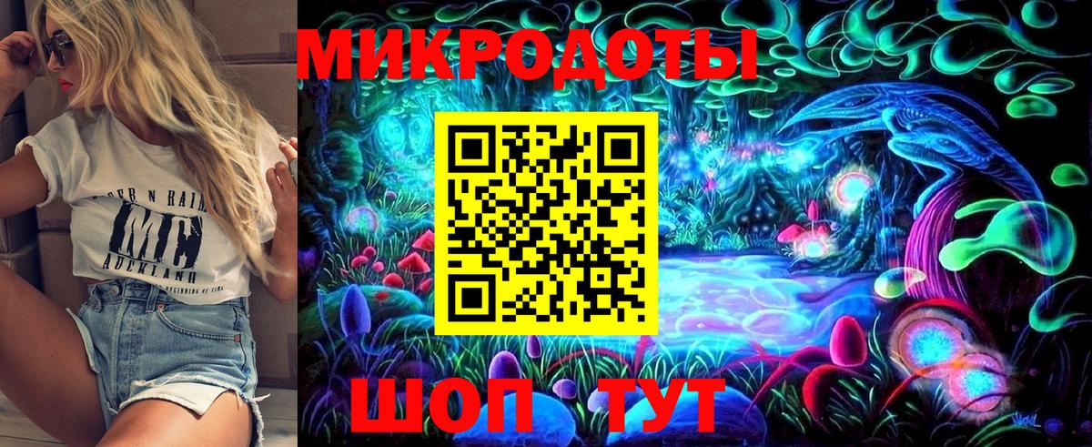 Псилоцибиновые грибы мухоморы Гатчина