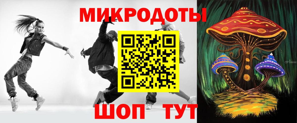 Гатчина  Псилоцибиновые грибы Psilocybe  Вход с VPN  Псилоцибиновые грибы ЛСД 